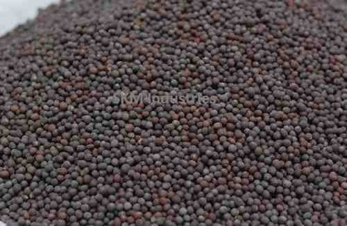 black mustard seeds